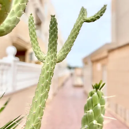 Family-friendly With Pool In The Heart Of Апартаменты *