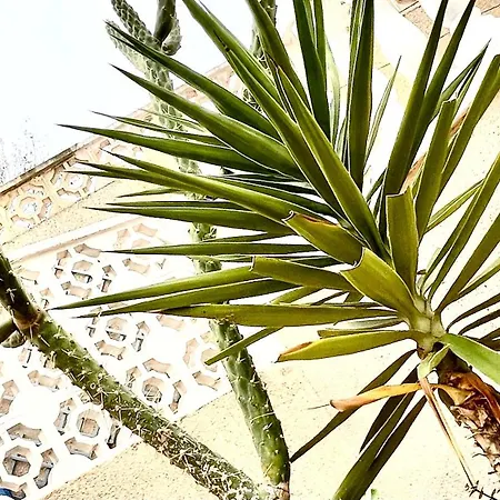 Family-friendly With Pool In The Heart Of Апартаменты *