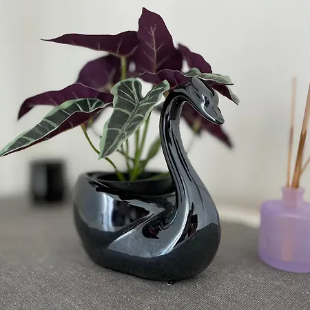 Family-friendly With Pool In The Heart Of Апартаменты Торевьиа