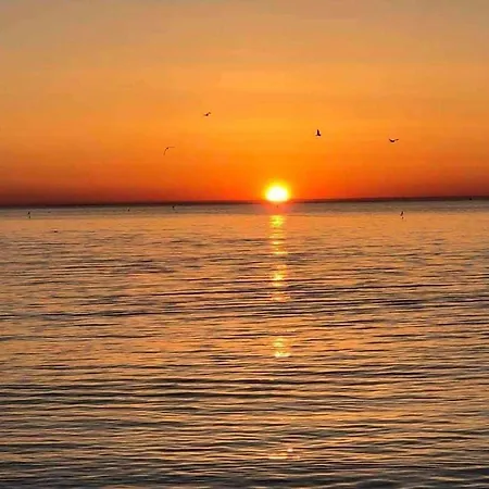 Family-friendly With Pool In The Heart Of